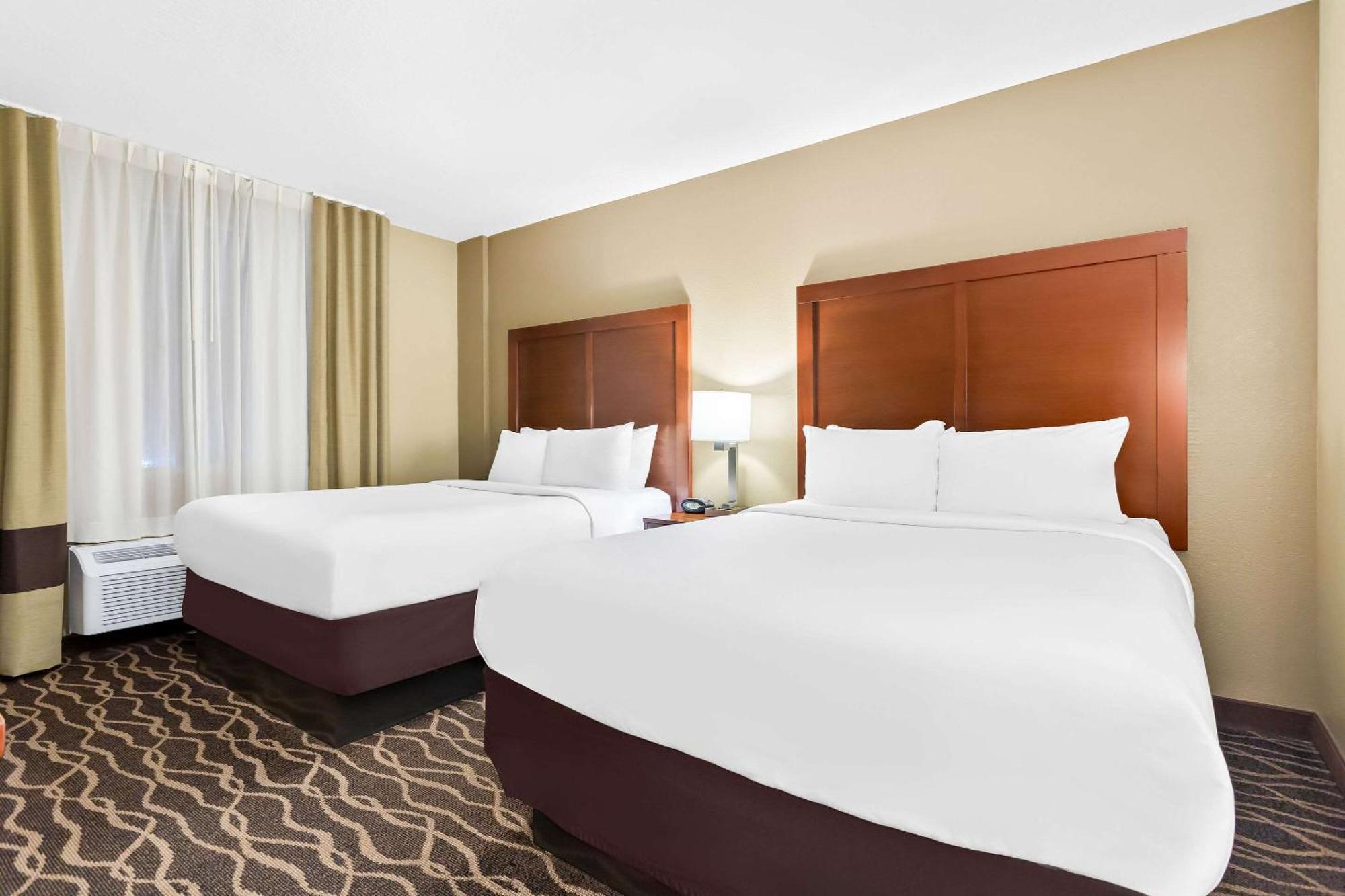 Comfort Suites Tampa Airport North West Chase Exterior foto
