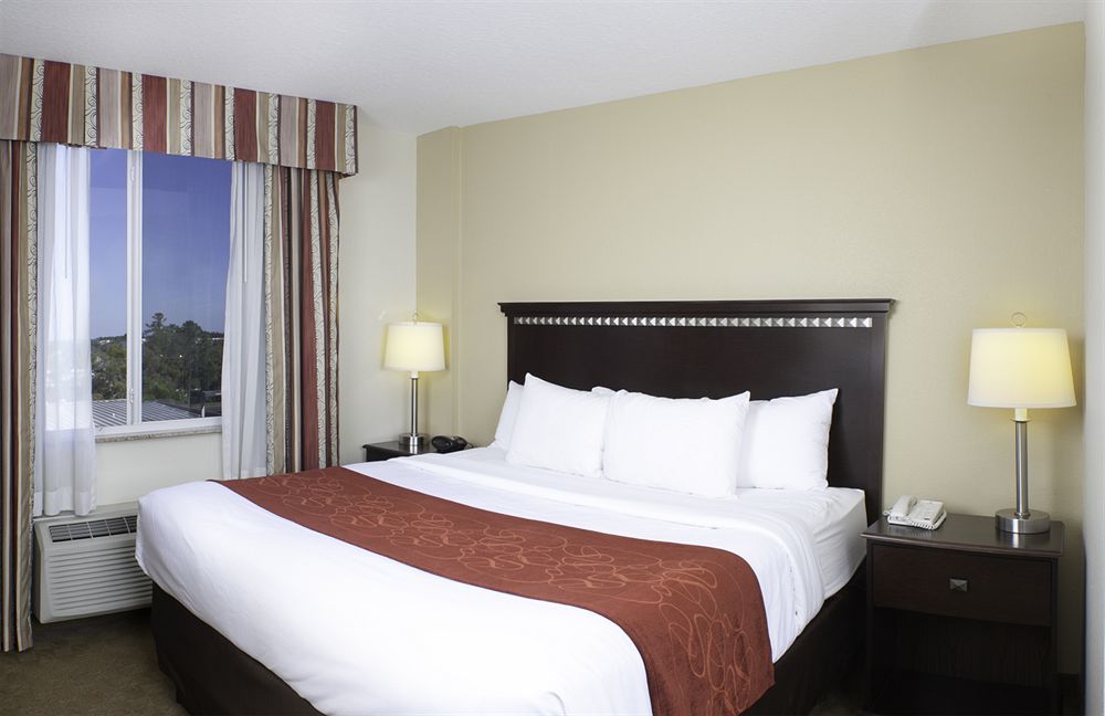 Comfort Suites Tampa Airport North West Chase Exterior foto