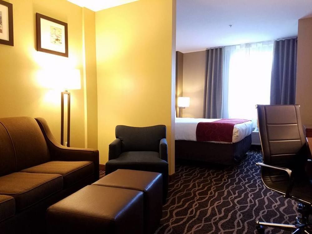 Comfort Suites Tampa Airport North West Chase Exterior foto